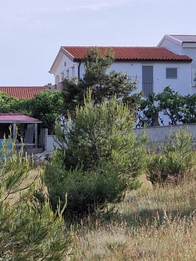 Apartments Ema Vir Extérieur photo
